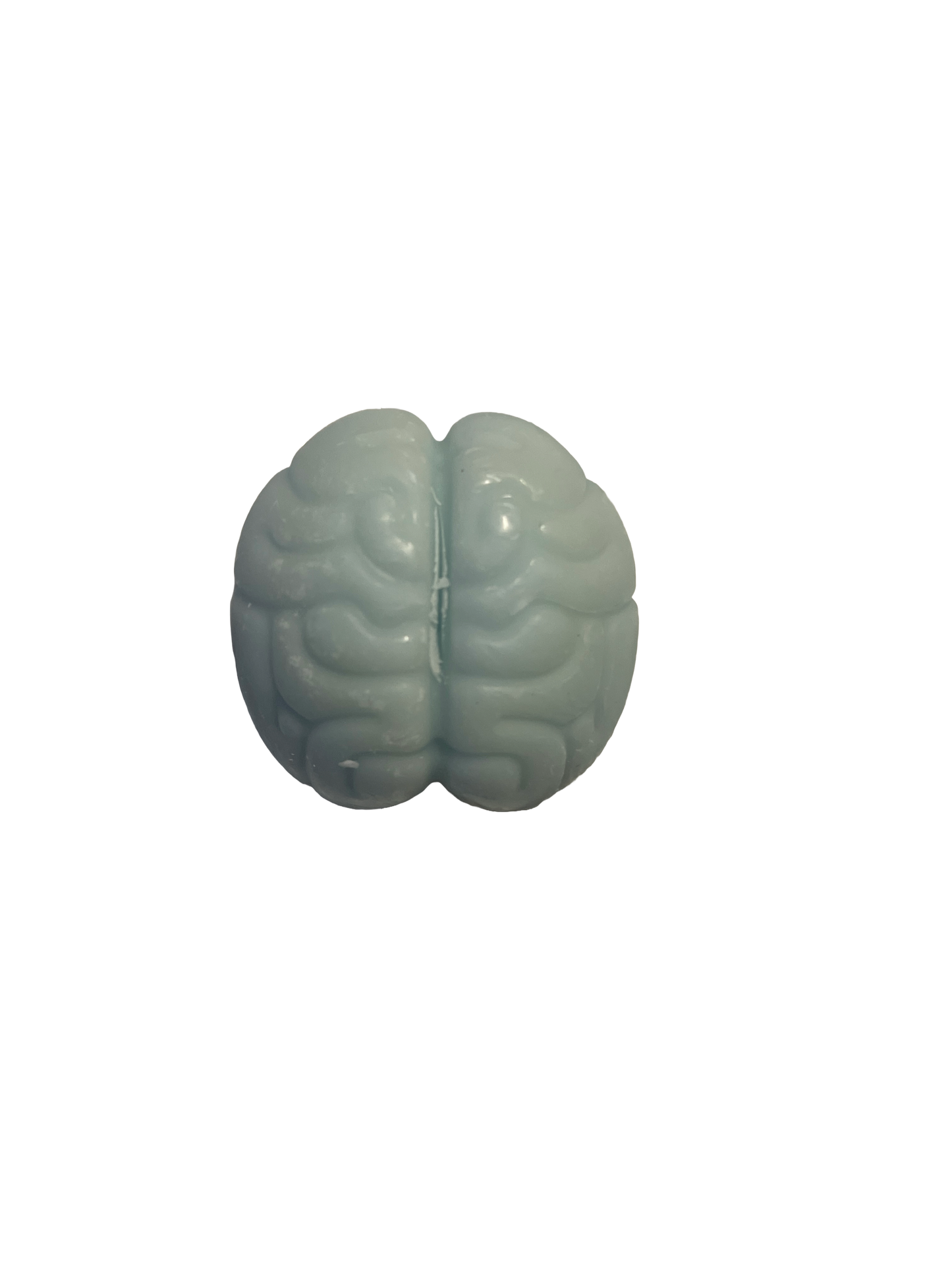 Brain (Blue)